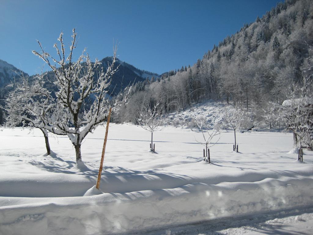 Biobauernhof Hauserbauer Hintersee Buitenkant foto