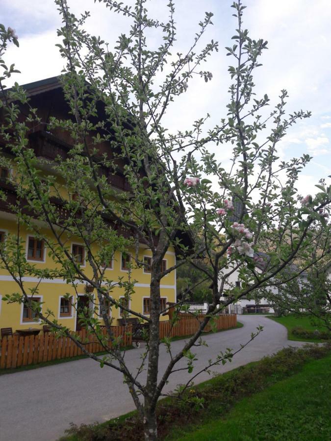 Biobauernhof Hauserbauer Hintersee Buitenkant foto
