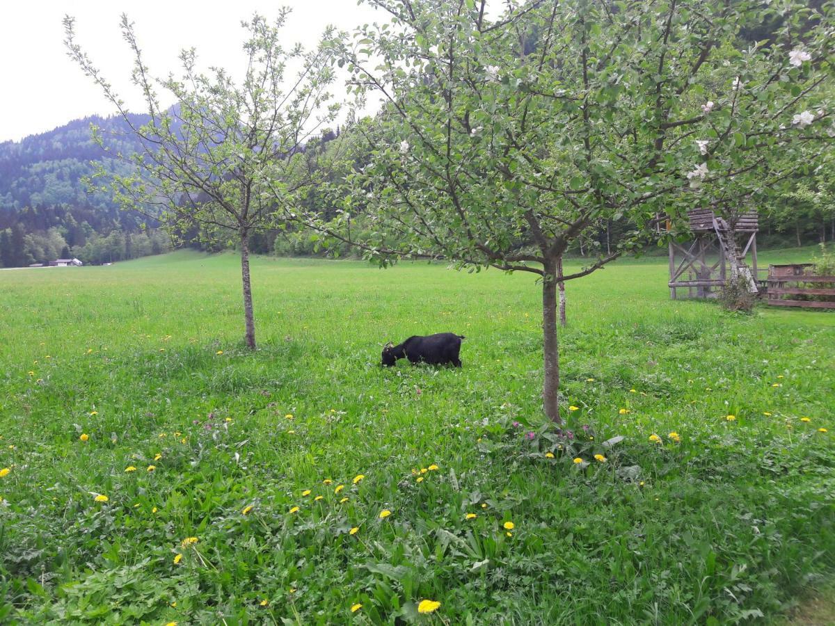 Biobauernhof Hauserbauer Hintersee Buitenkant foto