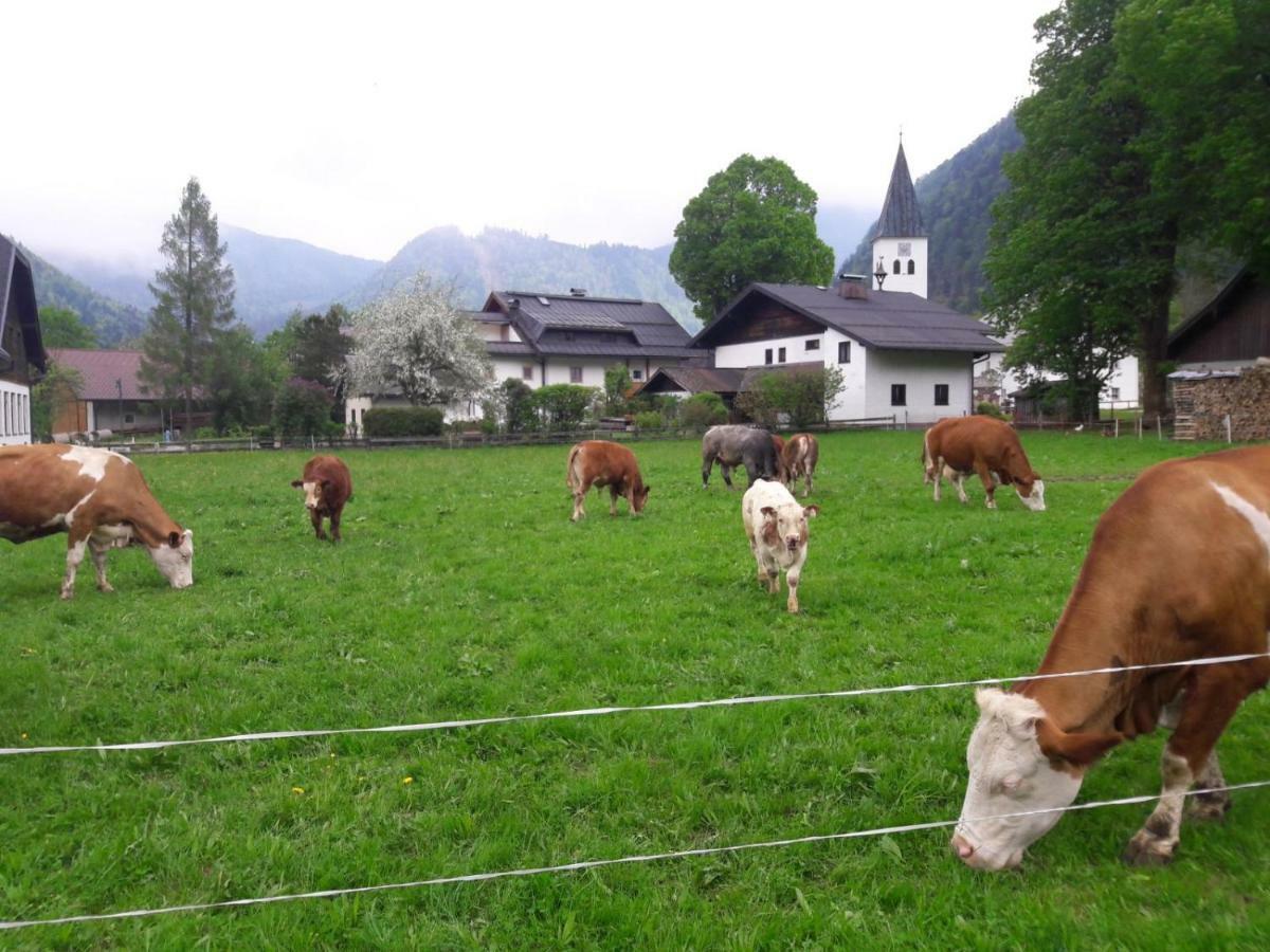 Biobauernhof Hauserbauer Hintersee Buitenkant foto