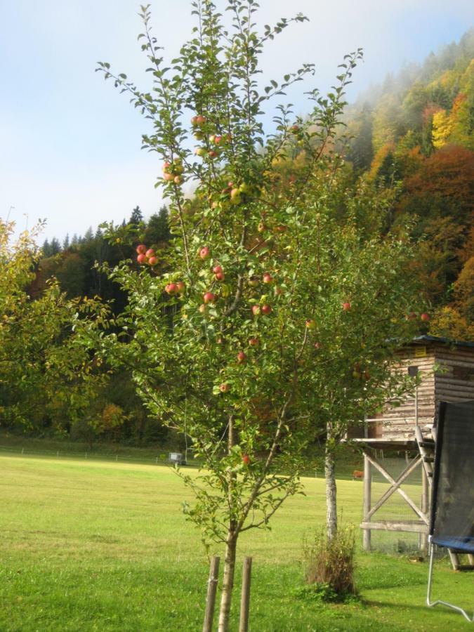 Biobauernhof Hauserbauer Hintersee Buitenkant foto